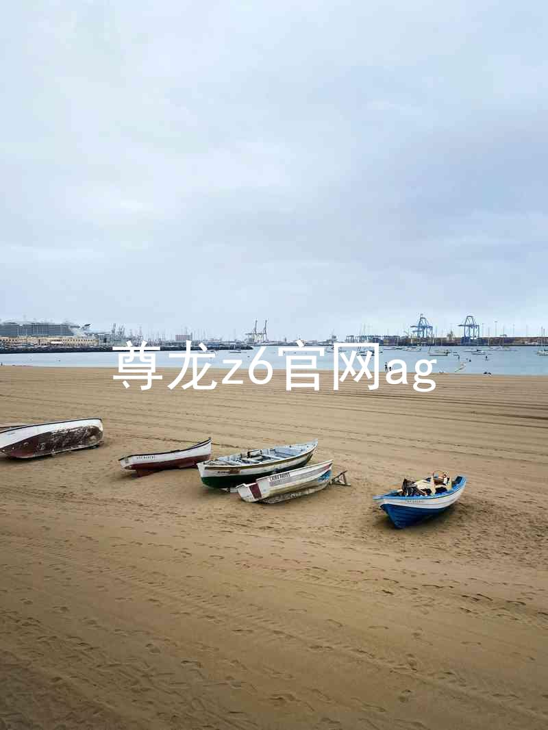 尊龙z6官网ag