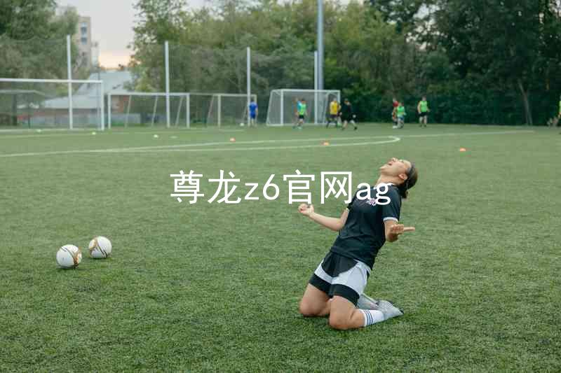 尊龙z6官网ag