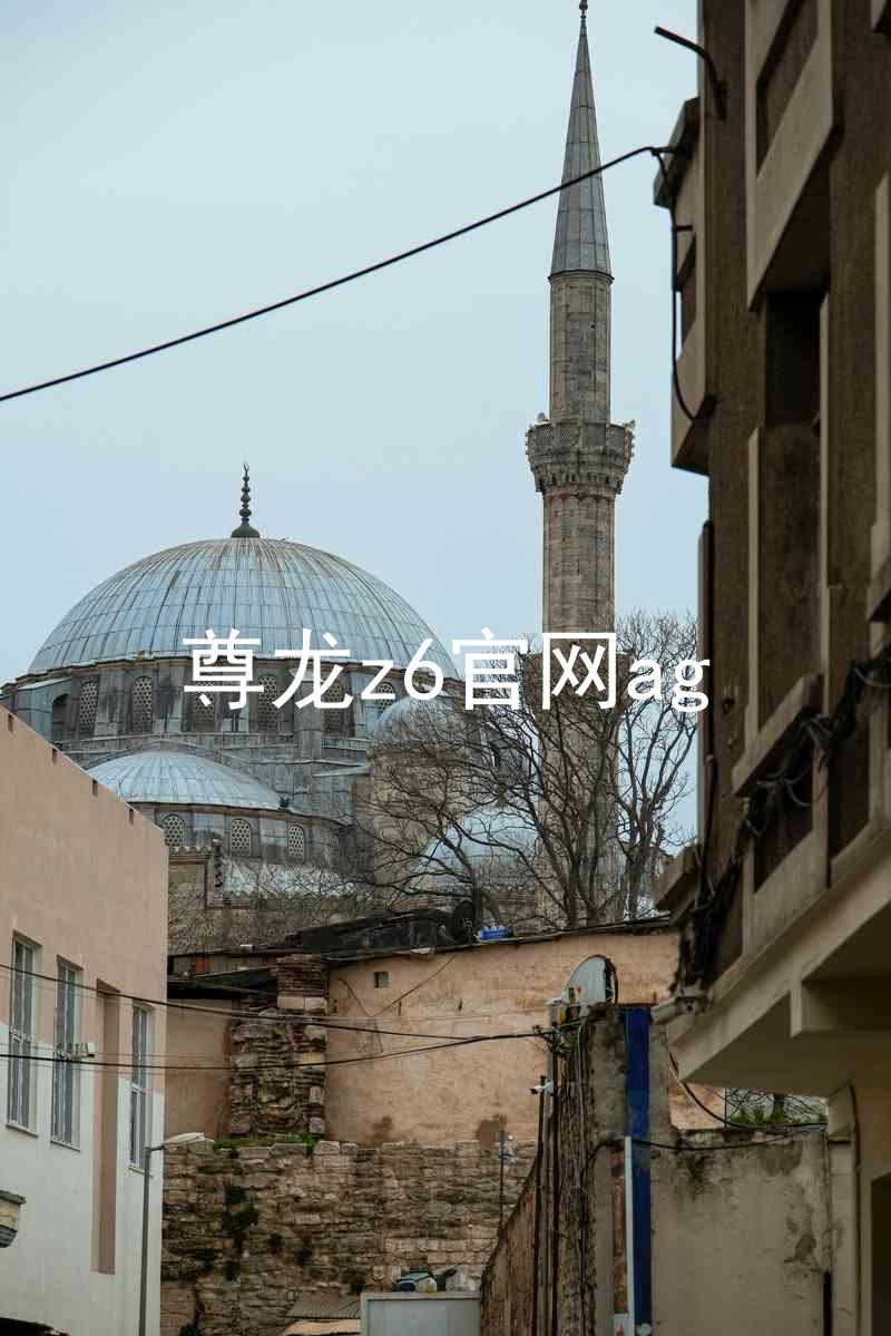 尊龙z6官网ag