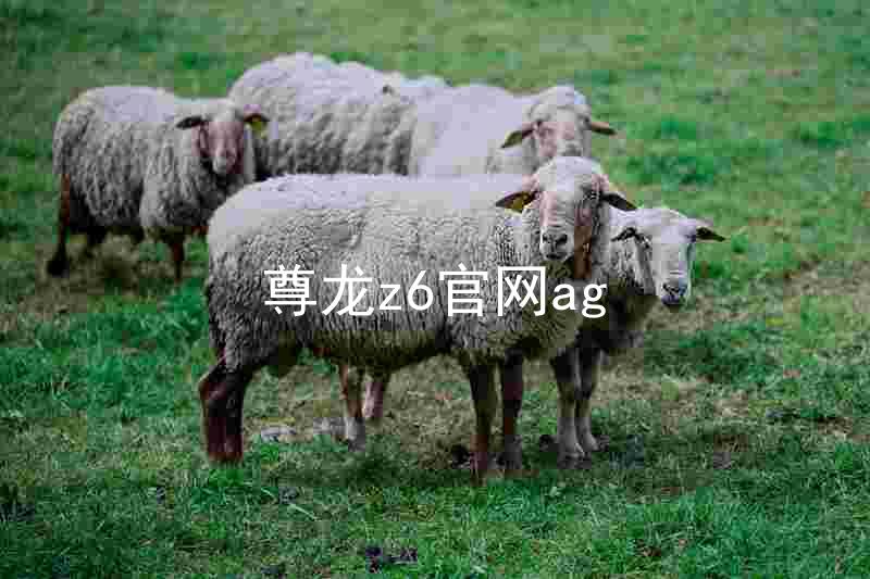 尊龙z6官网ag