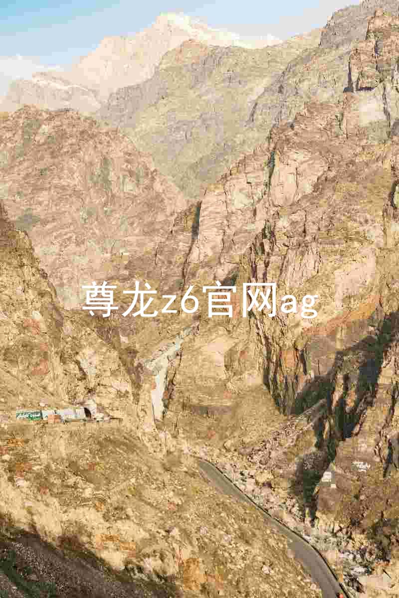 尊龙z6官网ag